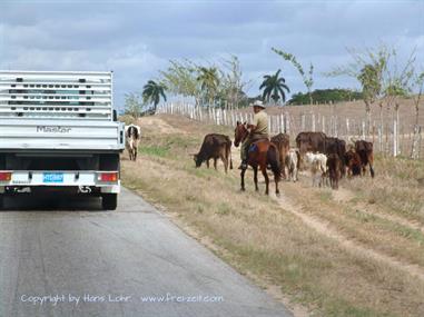 2004 Cuba, Chivirico - Bayamo - Cayo Coco, DSC01461 B_B720